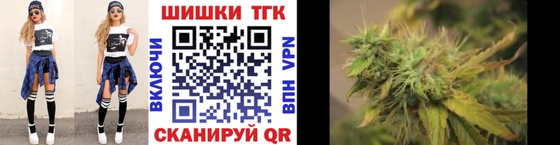 где продают   Котовск  Канабис ГИДРОПОН 